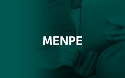 Proyecto Menpe