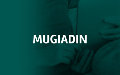 MugiAdin